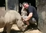 Wayne Bolton Saving Rhinos One Land Love It